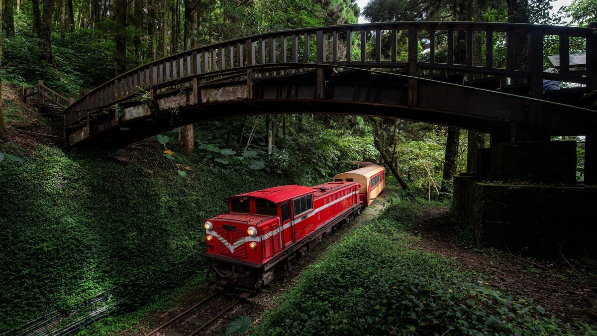 Taiwan ChiaYi Alishan Forest Railway passing under a bridge
