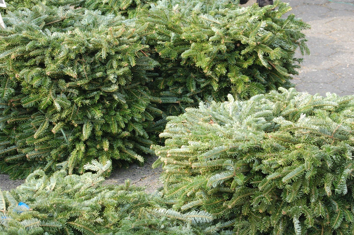 Union-Square-Holiday-Market-New-York Union-Square-Holiday-Market-New-York