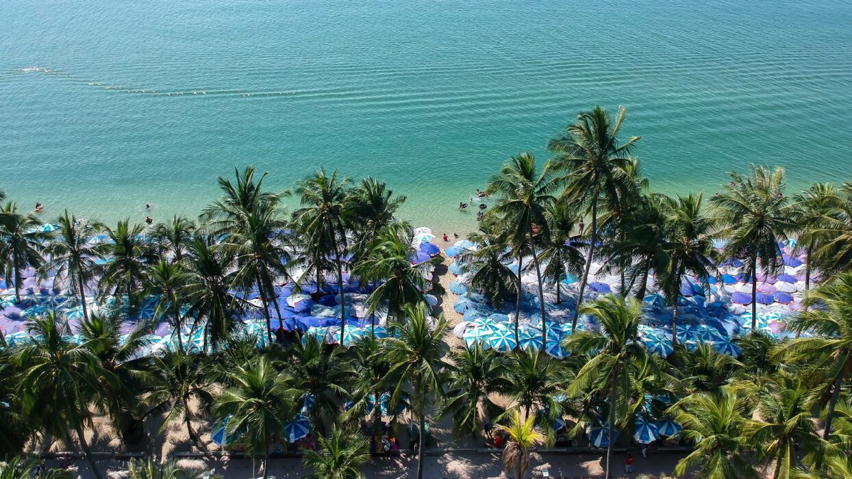 醒來迎接波浪：春武里海濱酒店景觀