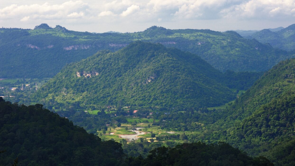 Khao Yai Adventures: Where to Stay with Your Family background image