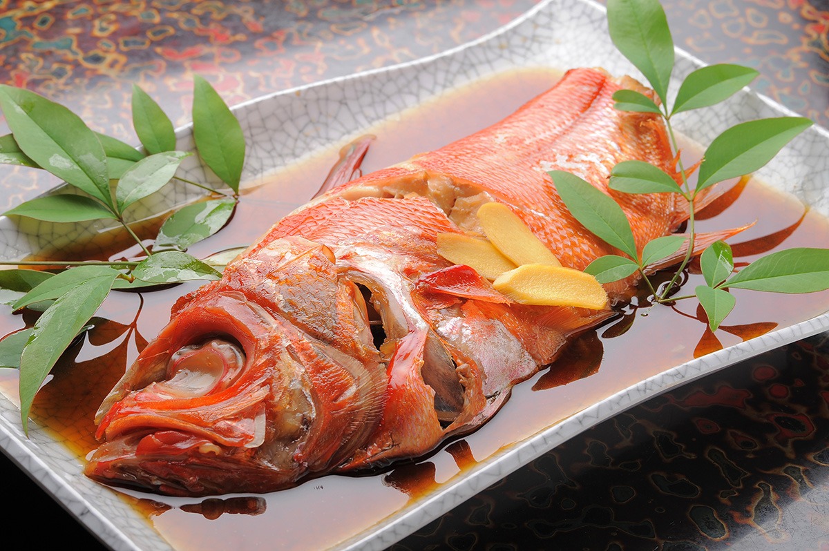 Kinmedai (splendid alfonsino)