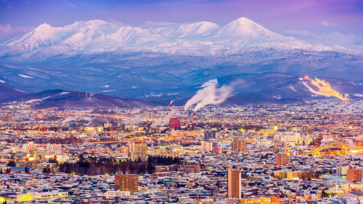 Budget-Friendly Stays: Solo Traveler’s Guide to Cheap Hotels in Asahikawa background image