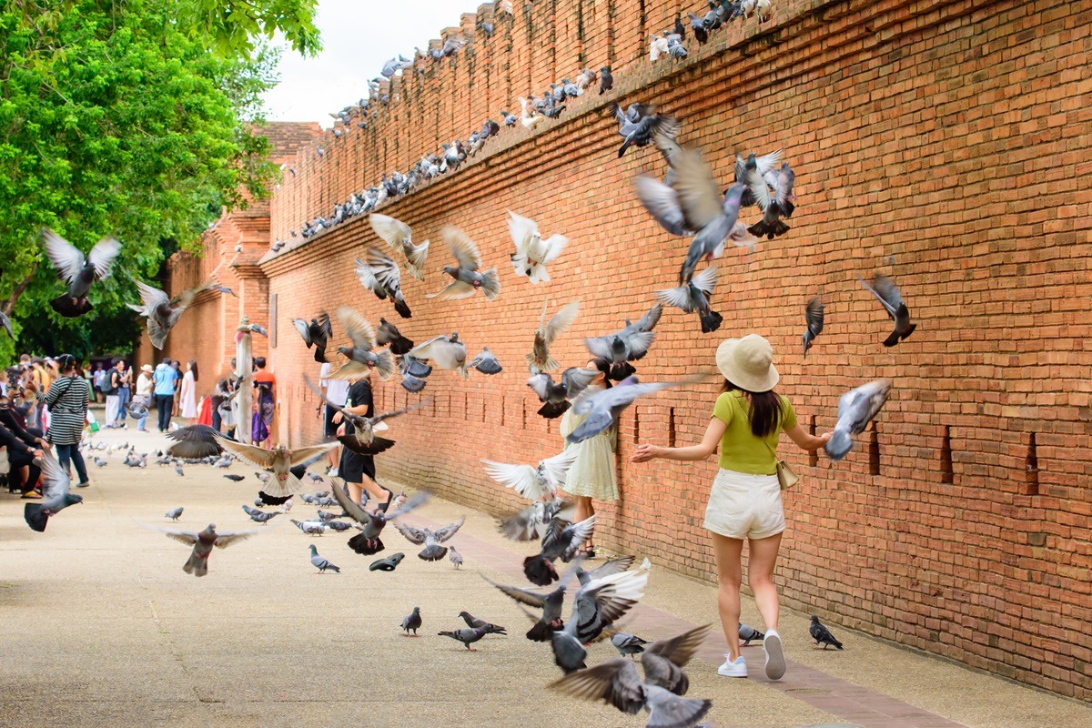 Chiang-Mai-The-Phae-Gate Chiang-Mai-The-Phae-Gate
