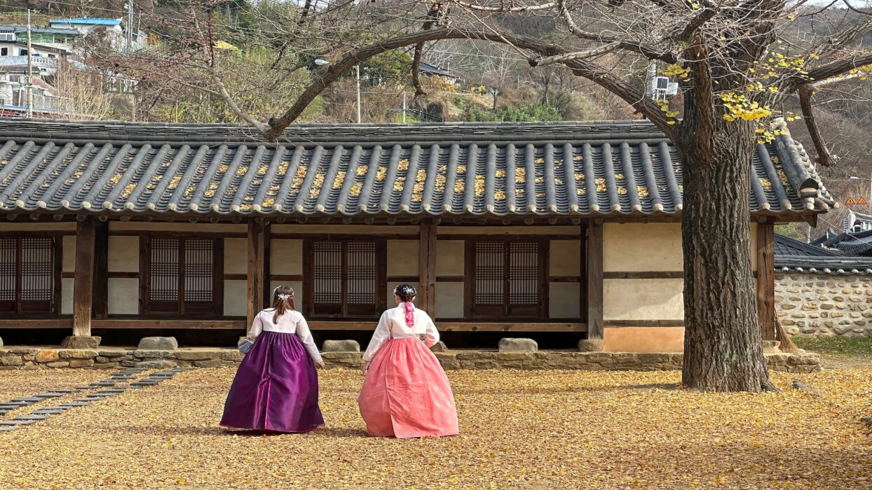 Jeonju-si on a Budget: Where to Find Cheap Hotels background image