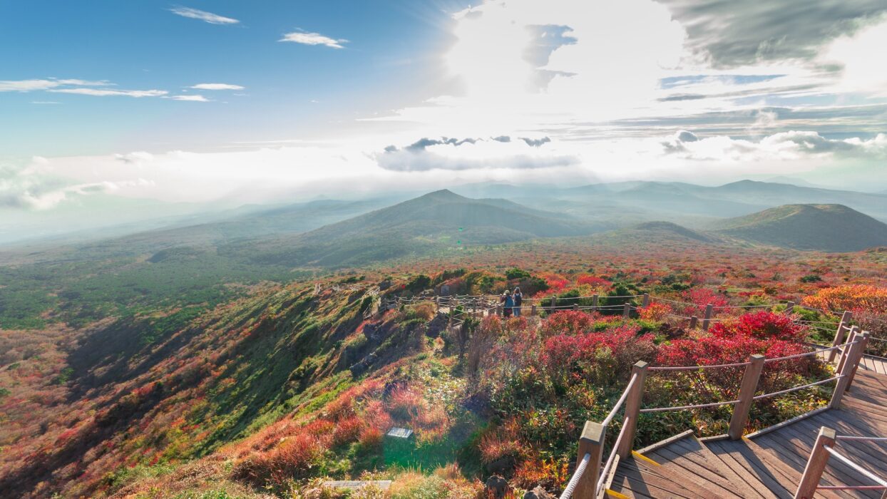 Jeju’s Mountain Retreats: Hotels Near Hallasan for Every Traveler background image