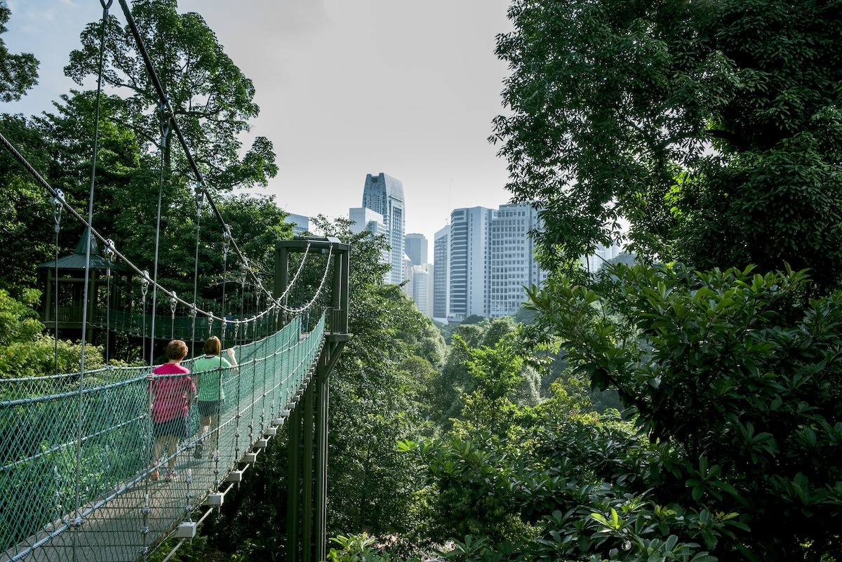 KL Forest Eco-Park, KL, Malaysia KL Forest Eco-Park, KL, Malaysia