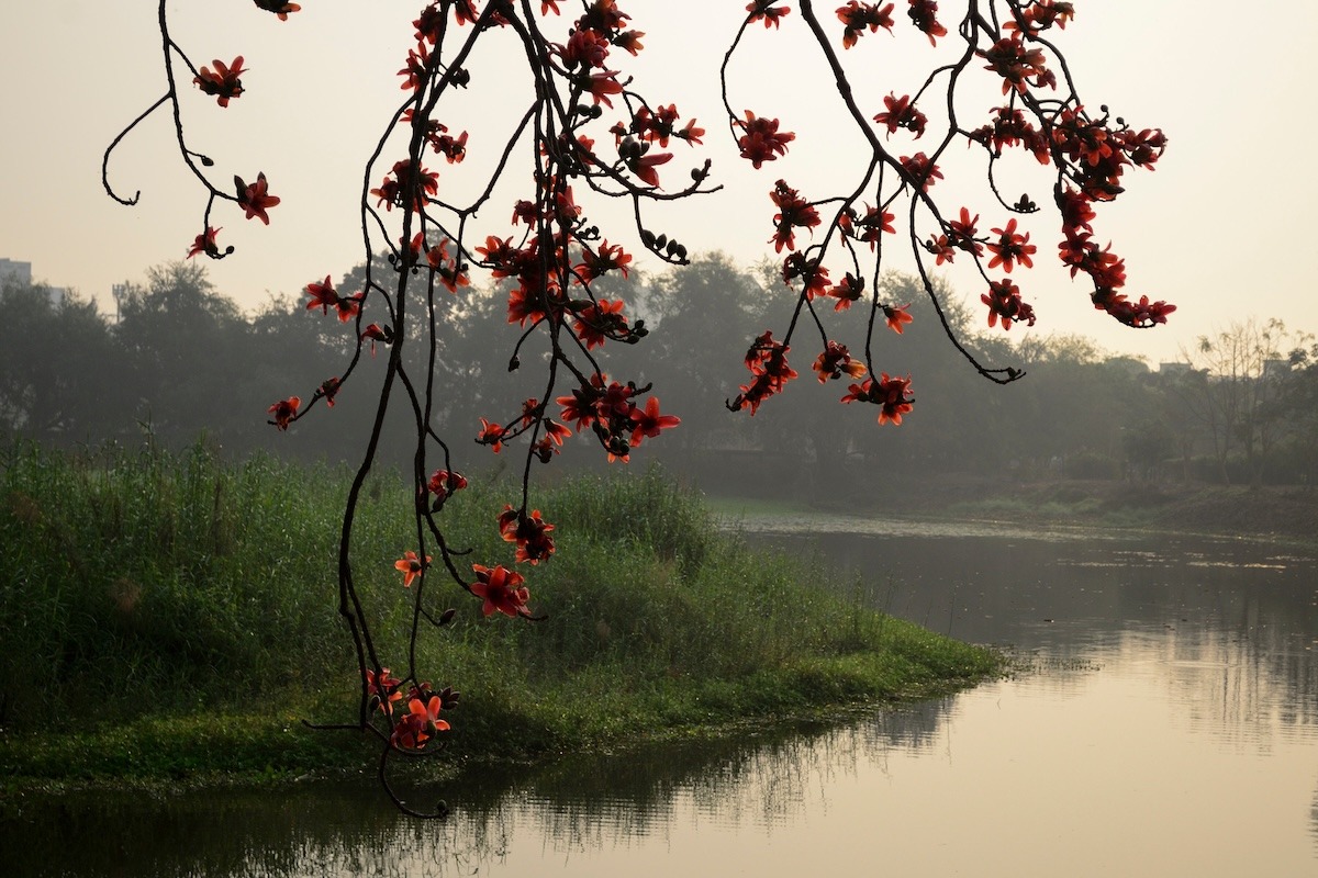 ๋Central Park-Salt Lake ์Top Budget Hotels in Salt Lake, Kolkata