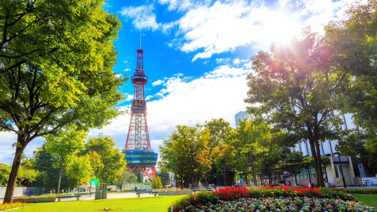 札幌の人気宿泊施設:近くの宿泊施設 background image