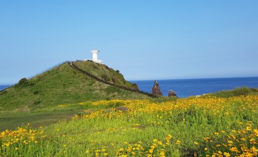 濟州島隱藏的寶石:適合每位旅客的經濟型酒店