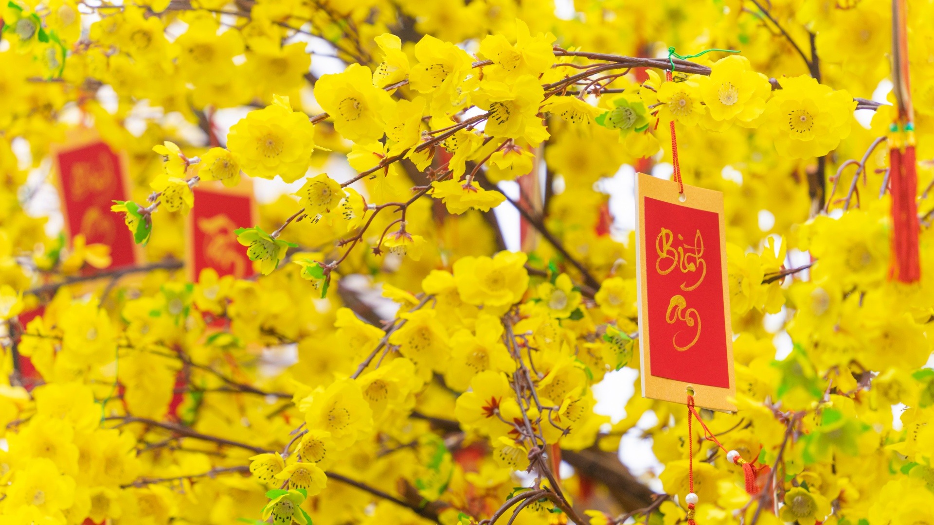 Tet Nguyen Dan: Your Ultimate Guide to Vietnam's Lunar New Year ...