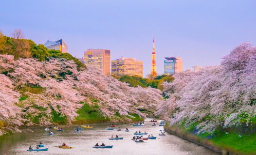 Discover Affordable Stays: Your Guide to Cheap Hotels in Tokyo with Agoda