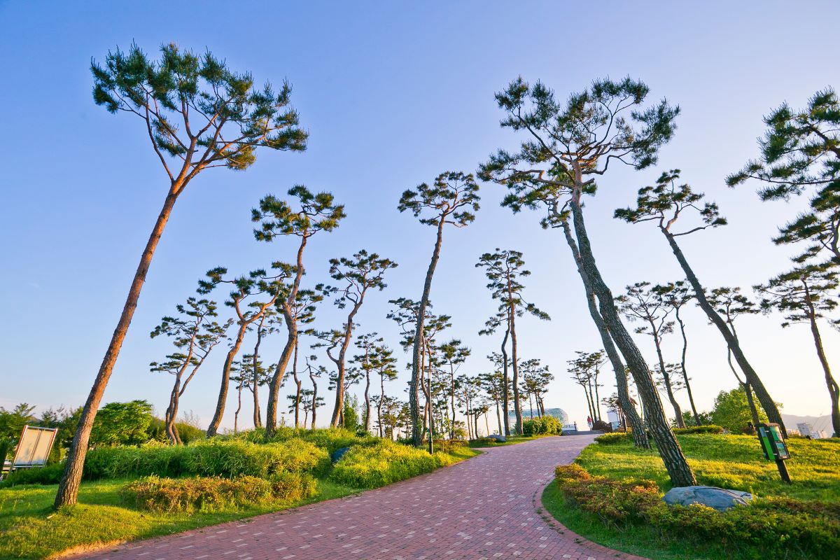 Yurim Park in Deajeon Yurim Park in Deajeon