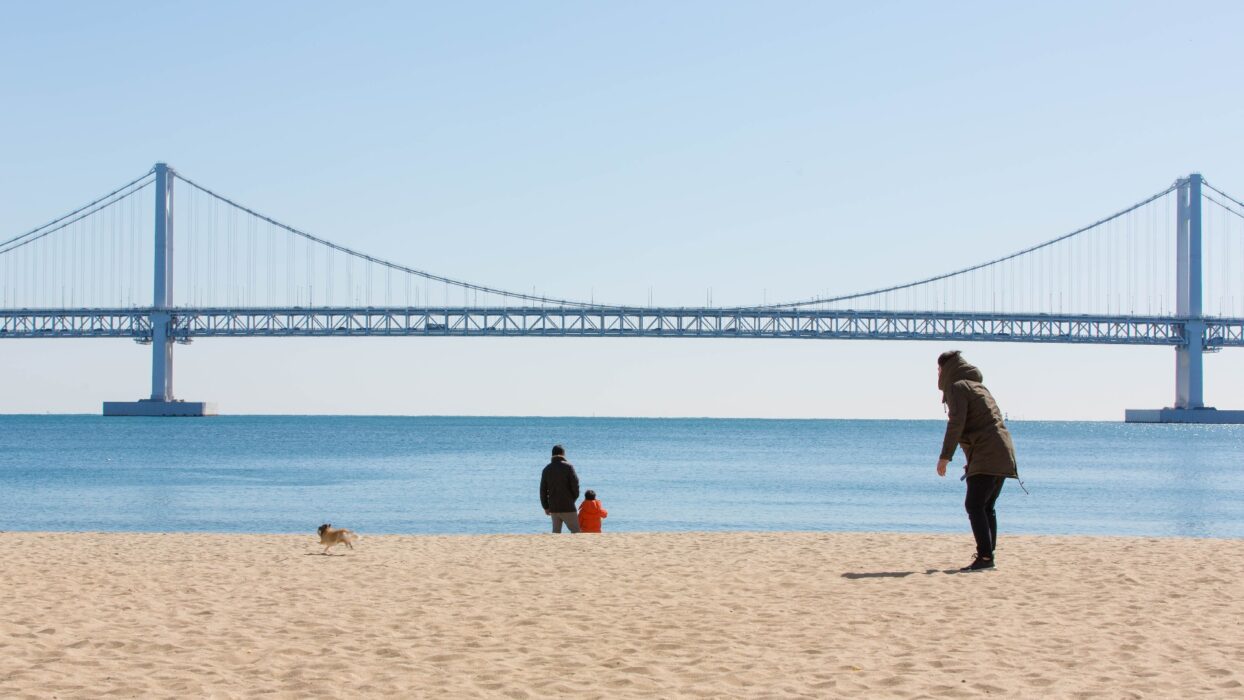 Traveling with Pets: Top Pet-Friendly Hotels in Busan background image