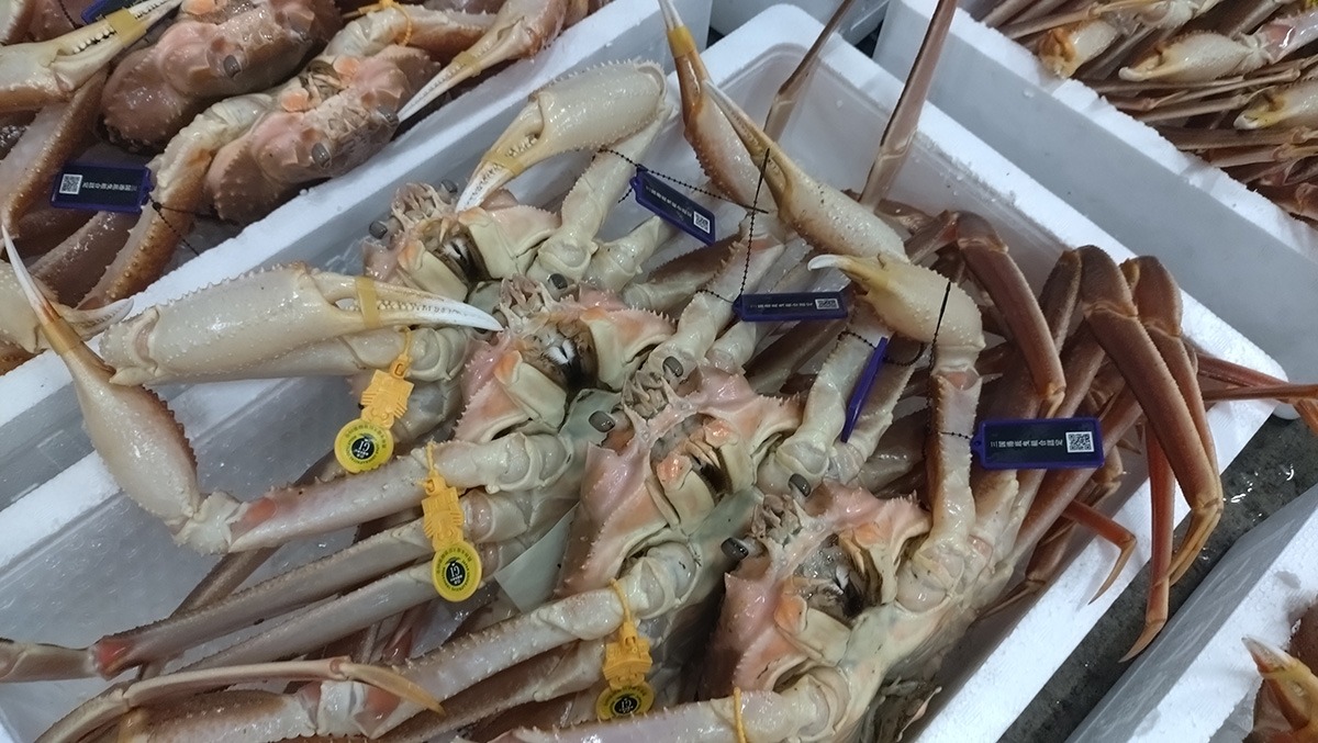 Royal crab Royal crab