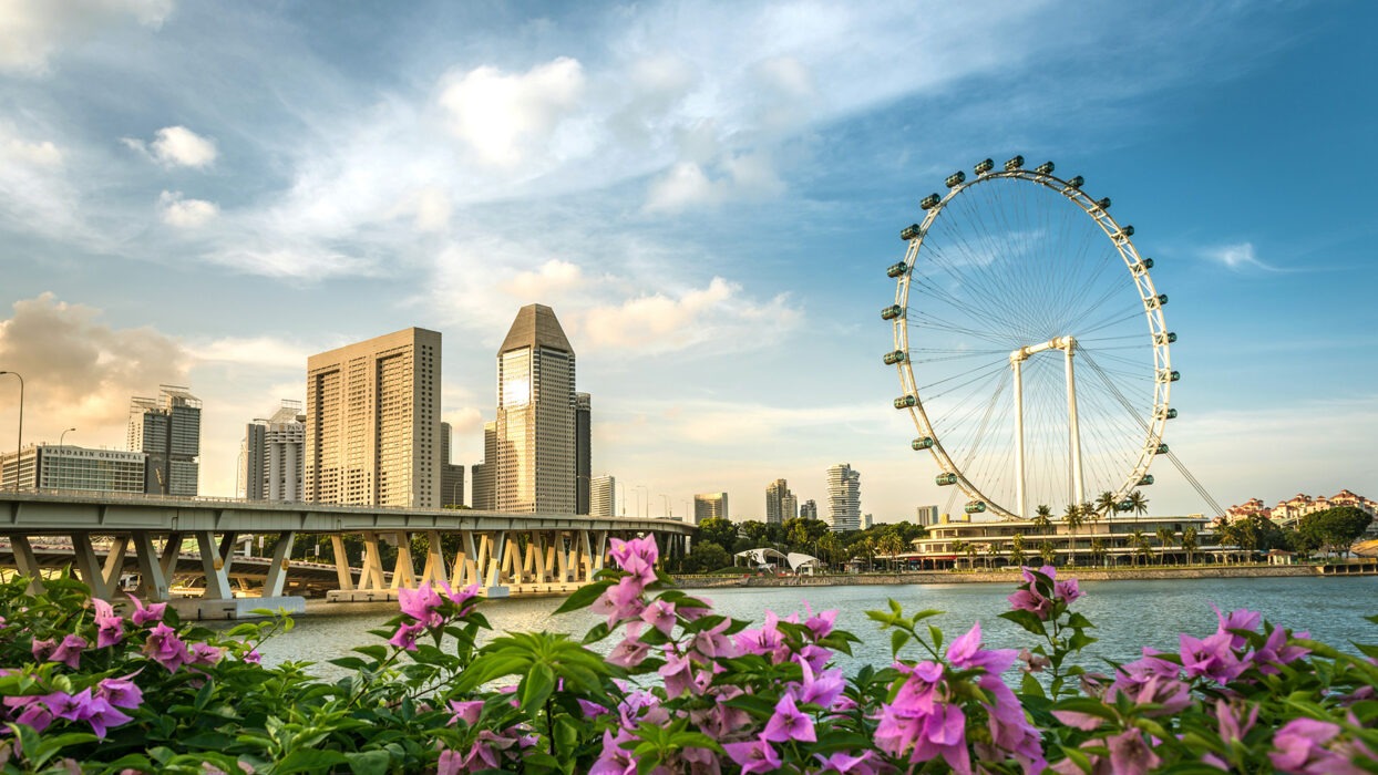 Exploring Singapore: A Comprehensive Guide to Hotel 81 and Other Top Stays background image