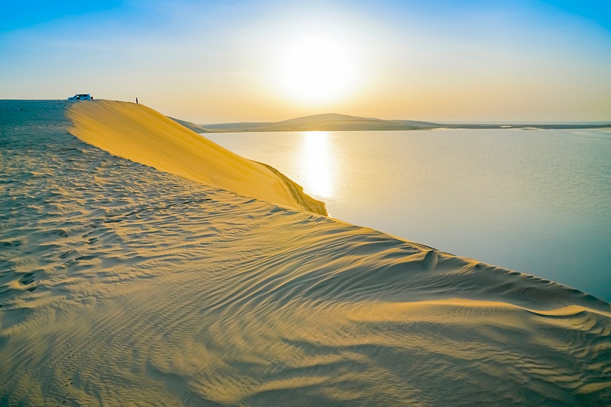 Desert Desert