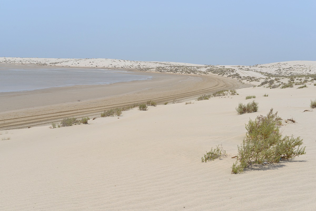 Nature Reserves Nature Reserves