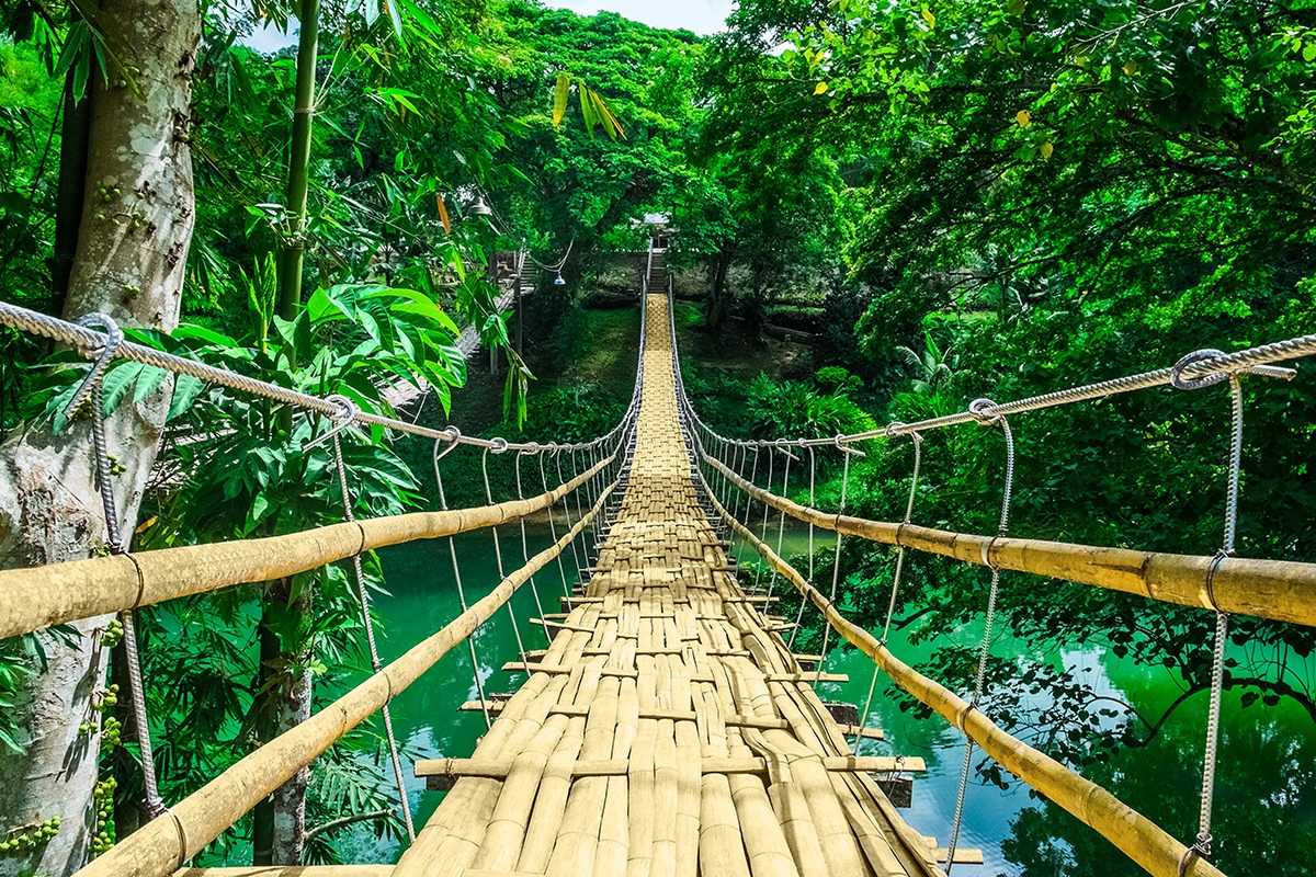 Bohol Bohol