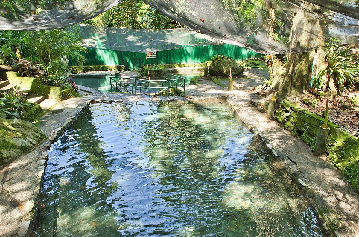 Hot Springs and Hydrotherapy Hot Springs and Hydrotherapy