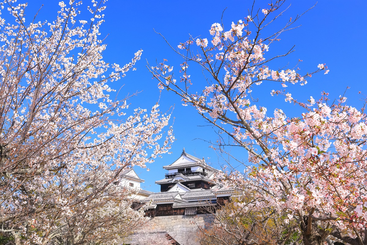 Matsuyama Castle Matsuyama Castle