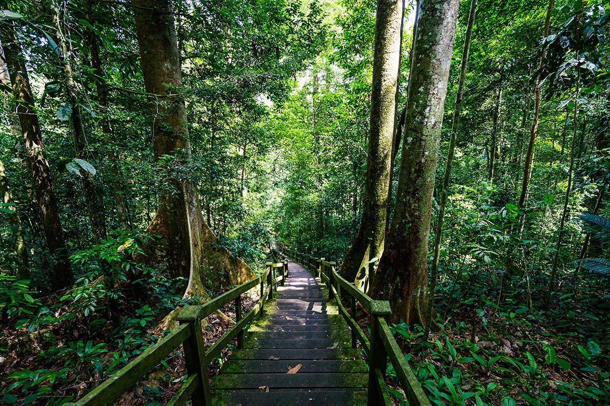 Ulu Temburong - Brunei Ulu Temburong - Brunei