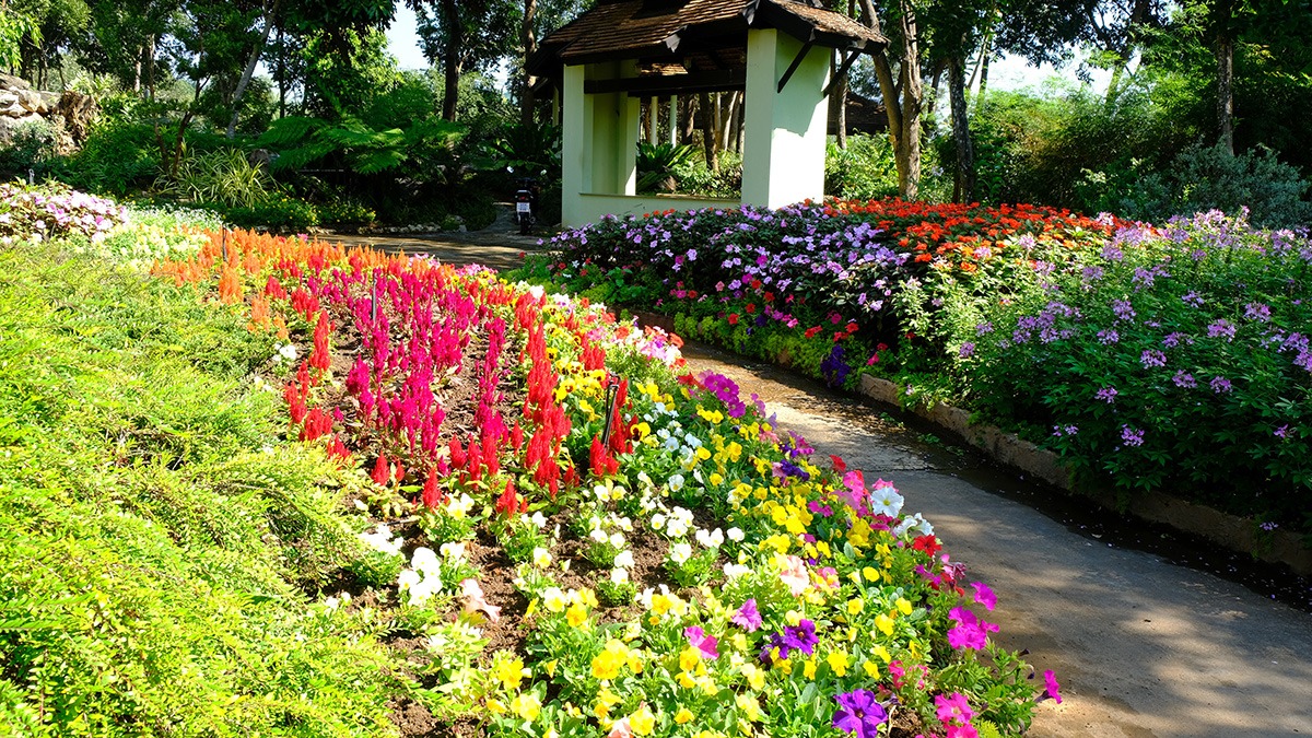 Chiang Mai Flower Festival