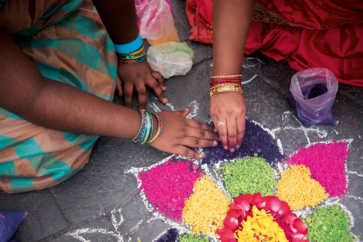 Pongal Harvest Festival