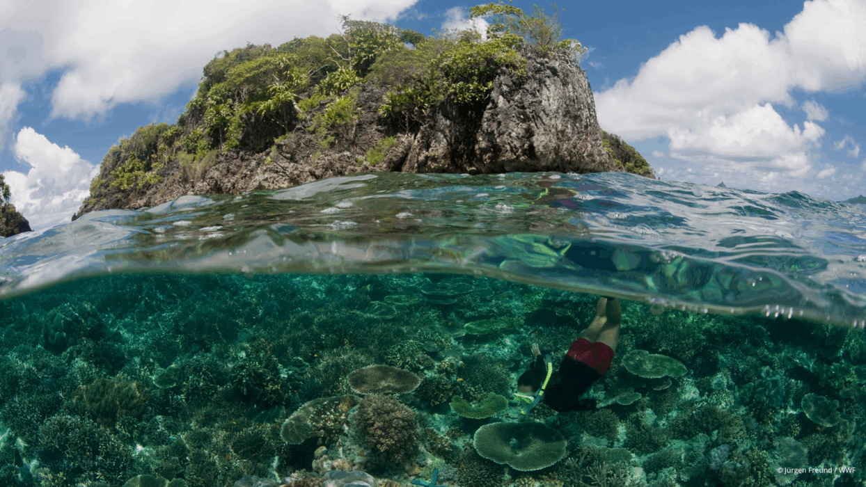 Tigers, Whale Sharks & Jungle Giants: Discover Southeast Asia’s Wild Side background image